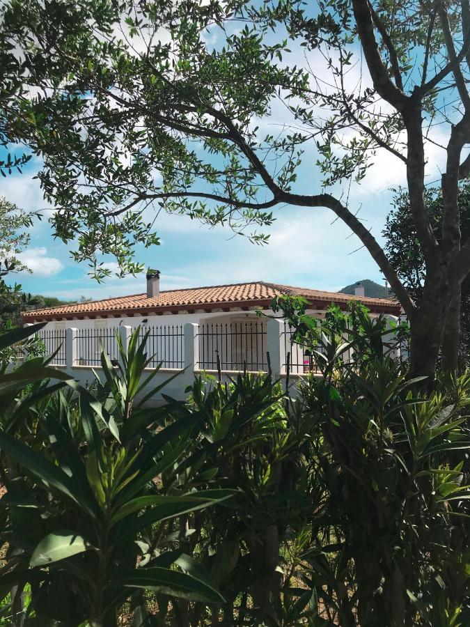 Villa La Casa Dell Olivo à Castiadas Extérieur photo